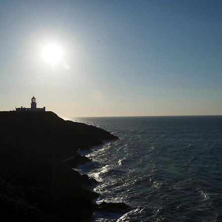 Apartament Penddaulwyn Uchaf Farm # Carmarthenshire Nantgaredig Zewnętrze zdjęcie