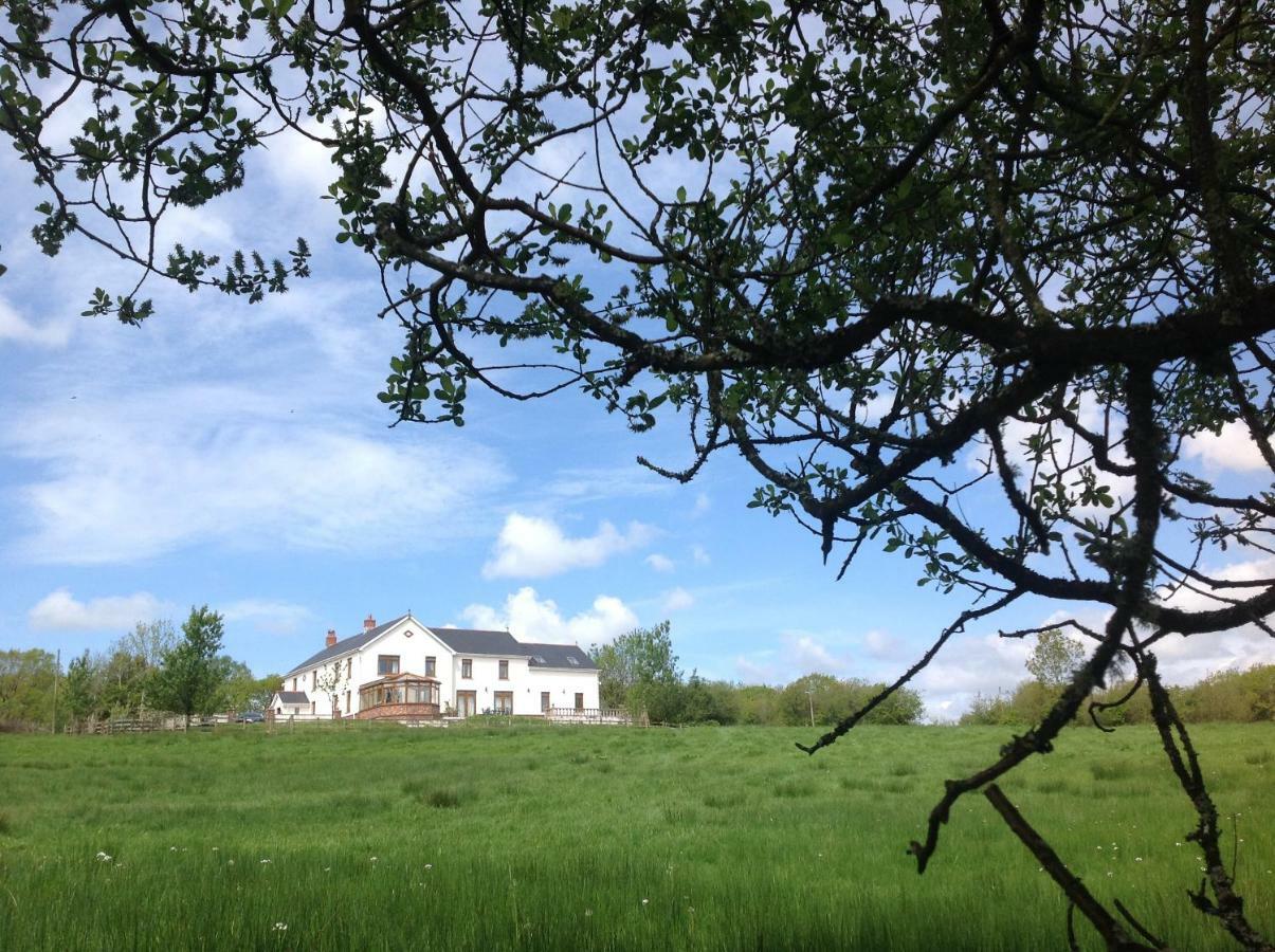 Apartament Penddaulwyn Uchaf Farm # Carmarthenshire Nantgaredig Zewnętrze zdjęcie