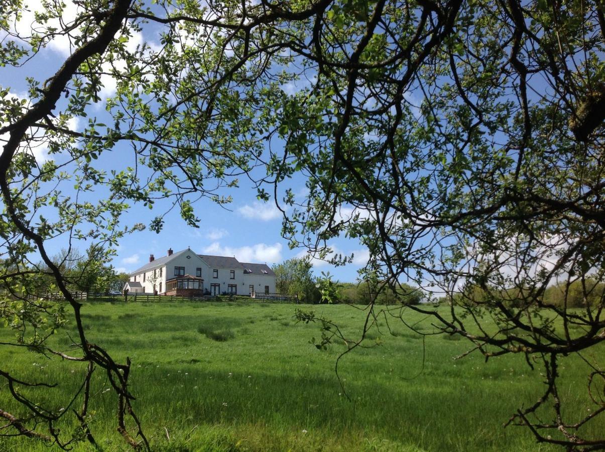 Apartament Penddaulwyn Uchaf Farm # Carmarthenshire Nantgaredig Zewnętrze zdjęcie