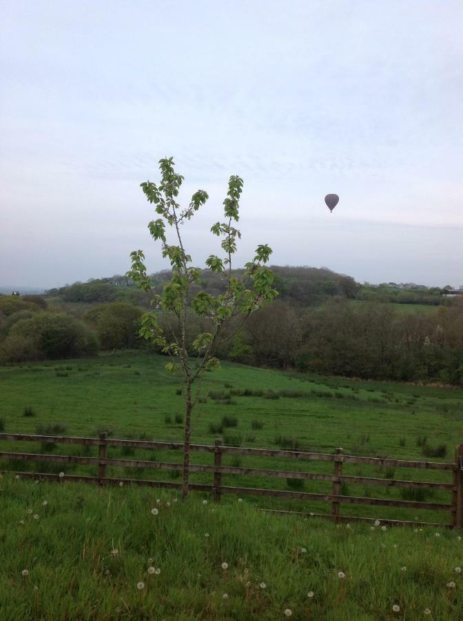 Apartament Penddaulwyn Uchaf Farm # Carmarthenshire Nantgaredig Zewnętrze zdjęcie