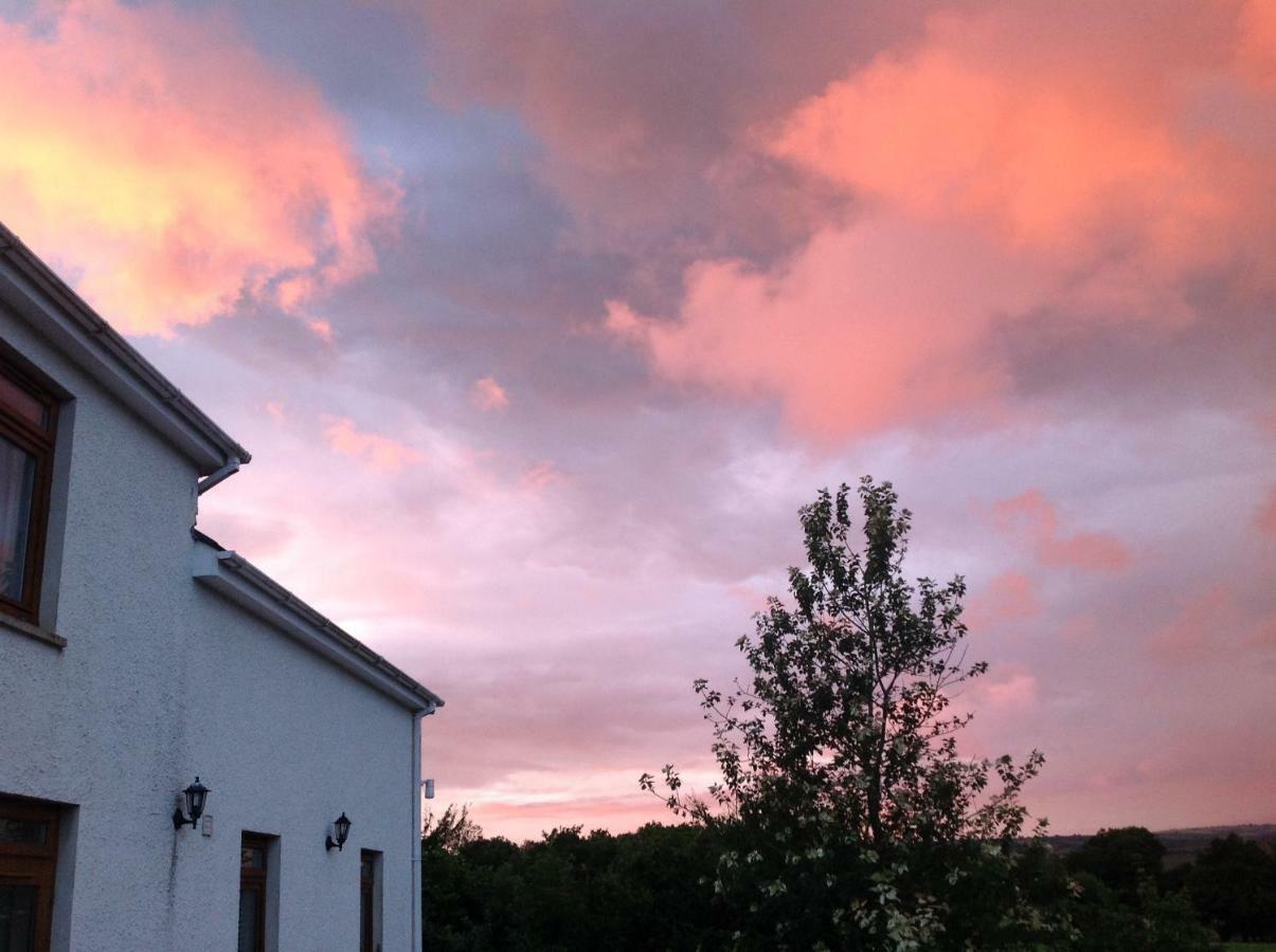Apartament Penddaulwyn Uchaf Farm # Carmarthenshire Nantgaredig Zewnętrze zdjęcie