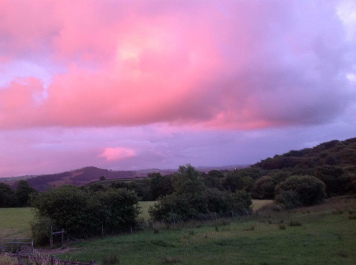 Apartament Penddaulwyn Uchaf Farm # Carmarthenshire Nantgaredig Zewnętrze zdjęcie
