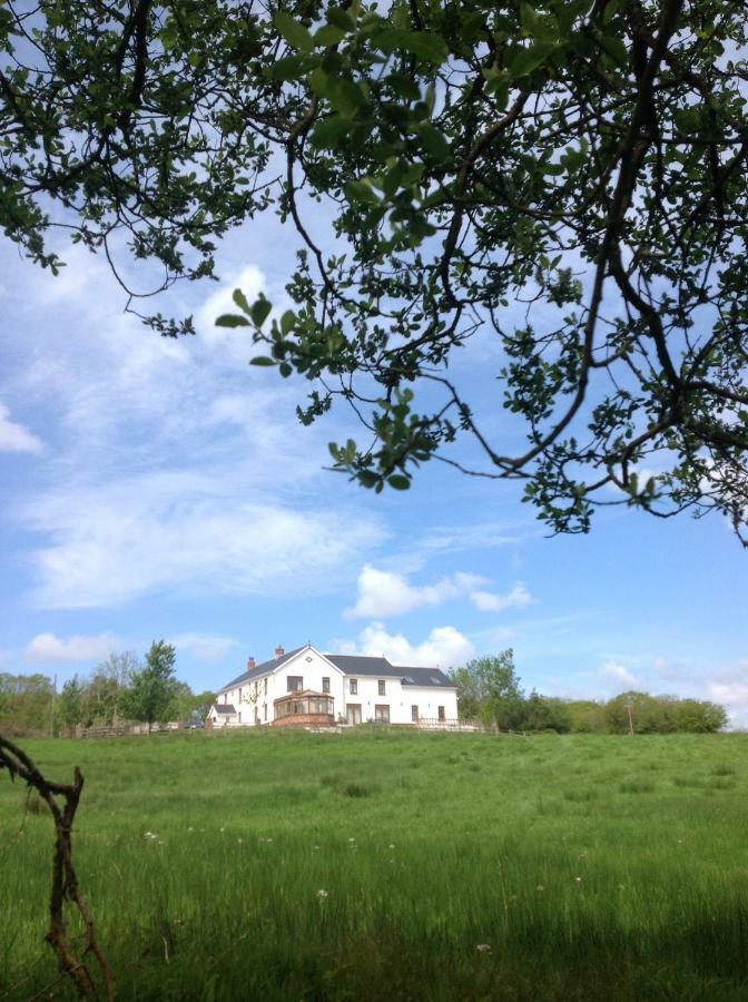 Apartament Penddaulwyn Uchaf Farm # Carmarthenshire Nantgaredig Zewnętrze zdjęcie