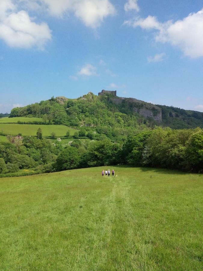 Apartament Penddaulwyn Uchaf Farm # Carmarthenshire Nantgaredig Zewnętrze zdjęcie